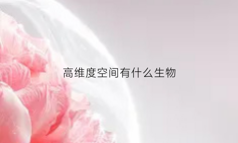 高维度空间有什么生物(高维空间有哪些)