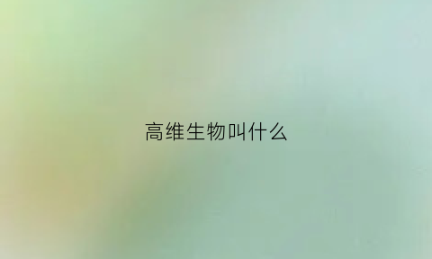 高维生物叫什么