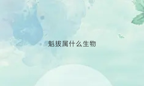 魁拔属什么生物(魁拔都叫什么)