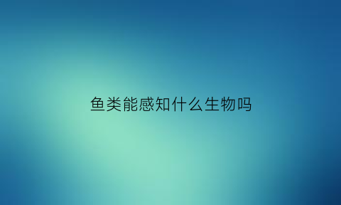 鱼类能感知什么生物吗(鱼能感受到温度吗)