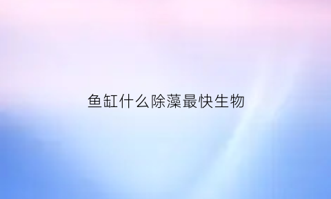 鱼缸什么除藻最快生物(鱼缸什么除藻最快生物最好)