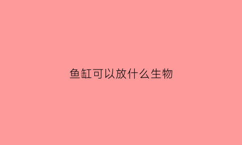 鱼缸可以放什么生物(鱼缸里可以放什么)