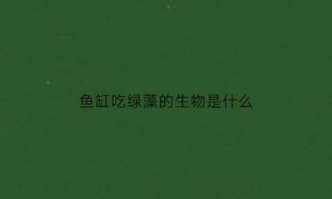 鱼缸吃绿藻的生物是什么