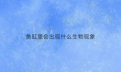 鱼缸里会出现什么生物现象(鱼缸里有)