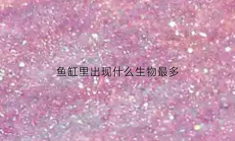 鱼缸里出现什么生物最多(鱼缸里的动物)