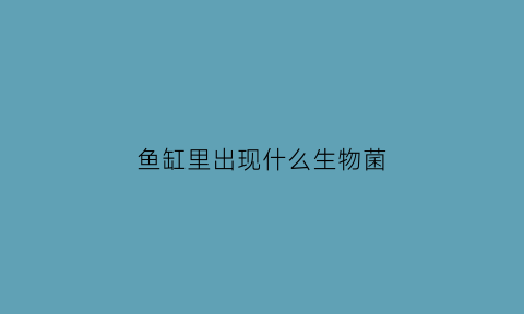 鱼缸里出现什么生物菌(鱼缸里有什么寄生虫)
