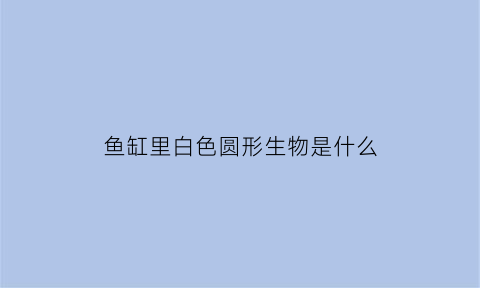 鱼缸里白色圆形生物是什么(鱼缸内出现白色圆柱体的东西)