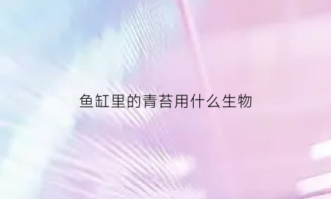 鱼缸里的青苔用什么生物(鱼缸中的青苔)