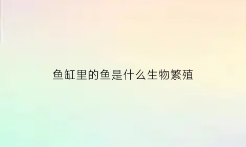 鱼缸里的鱼是什么生物繁殖