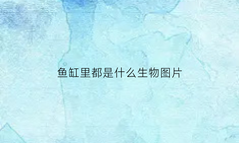 鱼缸里都是什么生物图片(鱼缸里的鱼是什么鱼)