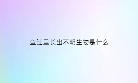 鱼缸里长出不明生物是什么(鱼缸里长出不明生物是什么意思)