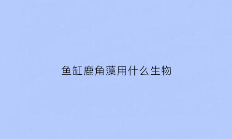 鱼缸鹿角藻用什么生物(鱼缸鹿角藻用什么生物肥料)