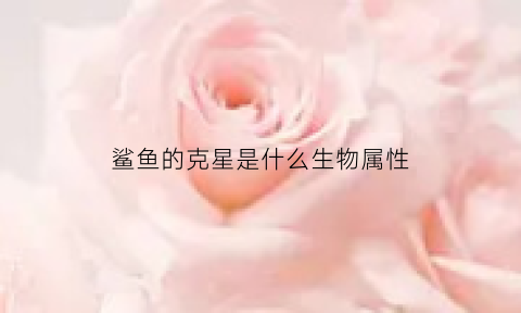 鲨鱼的克星是什么生物属性(鲨鱼的克星是海豚吗)
