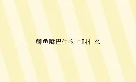 鲫鱼嘴巴生物上叫什么(鲫鱼的嘴巴)