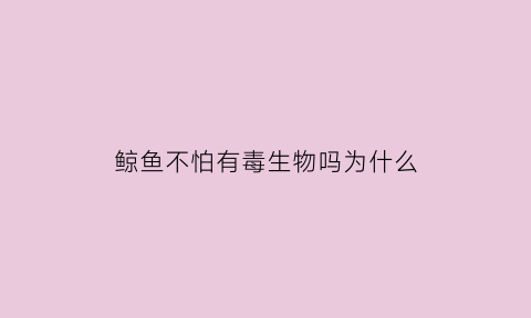 鲸鱼不怕有毒生物吗为什么(鲸鱼为什么不怕水压)