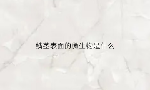 鳞茎表面的微生物是什么