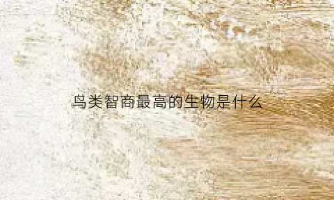 鸟类智商最高的生物是什么(鸟类中智商最高的是)