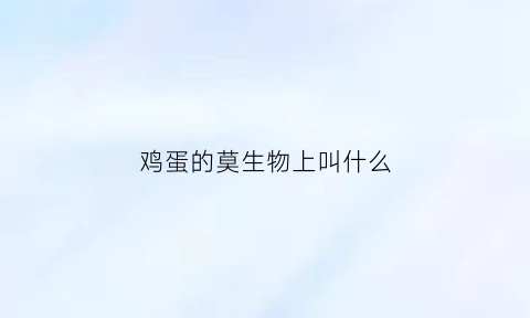 鸡蛋的莫生物上叫什么(鸡蛋里面叫什么)