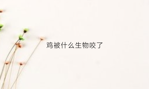 鸡被什么生物咬了(小鸡被什么东西咬了)