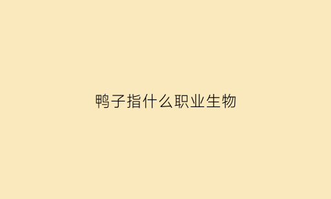 鸭子指什么职业生物