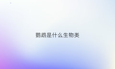 鹦鹉是什么生物类