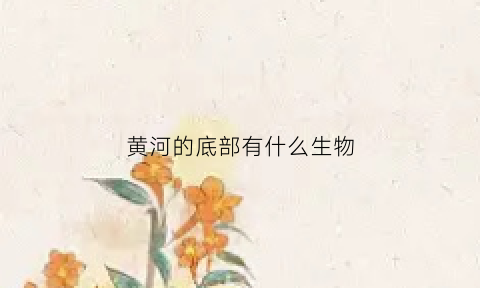 黄河的底部有什么生物(黄河河底有什么)