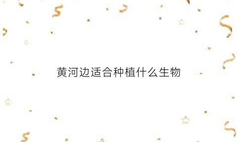 黄河边适合种植什么生物(黄河边上适合种什么)