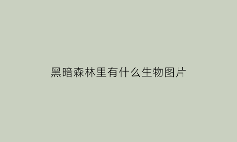 黑暗森林里有什么生物图片(黑暗森林里有什么生物图片吗)
