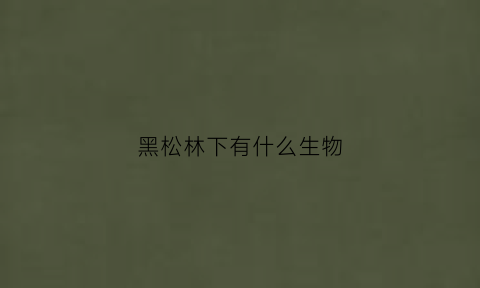 黑松林下有什么生物(黑松林在哪里)