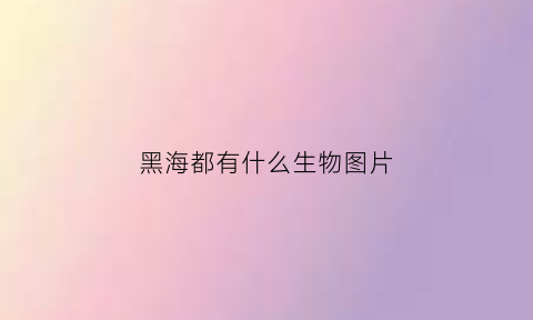 黑海都有什么生物图片