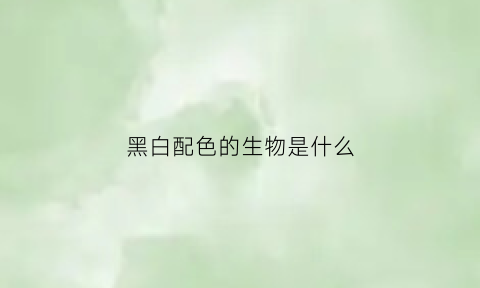 黑白配色的生物是什么