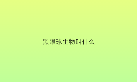 黑眼球生物叫什么(黑眼球的作用)