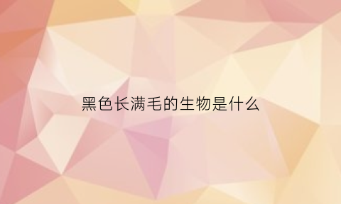 黑色长满毛的生物是什么(黑色长满毛的毛毛虫)