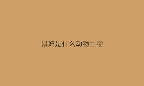 鼠妇是什么动物生物(鼠妇属于什么动物)