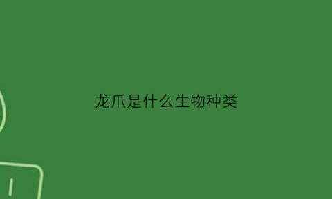 龙爪是什么生物种类(龙爪又叫什么名字)