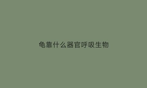 龟靠什么器官呼吸生物