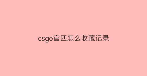 csgo官匹怎么收藏记录