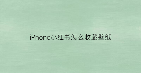 iPhone小红书怎么收藏壁纸