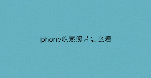 iphone收藏照片怎么看