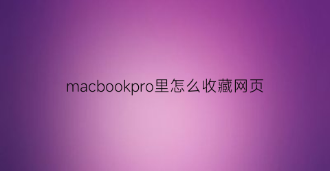 macbookpro里怎么收藏网页