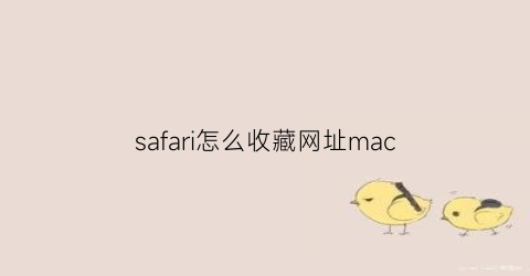 safari怎么收藏网址mac