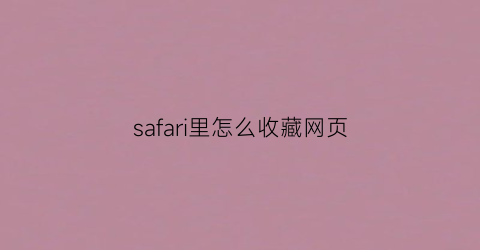 safari里怎么收藏网页