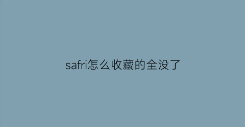 safri怎么收藏的全没了