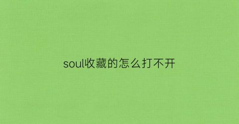 soul收藏的怎么打不开