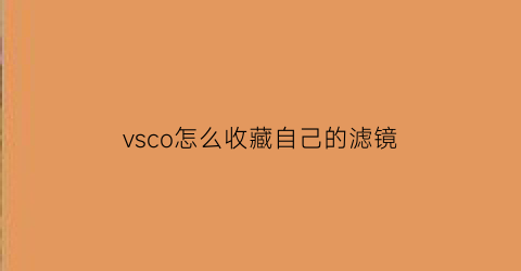 vsco怎么收藏自己的滤镜