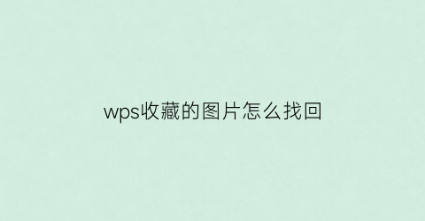 wps收藏的图片怎么找回