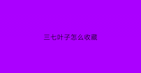 三七叶子怎么收藏