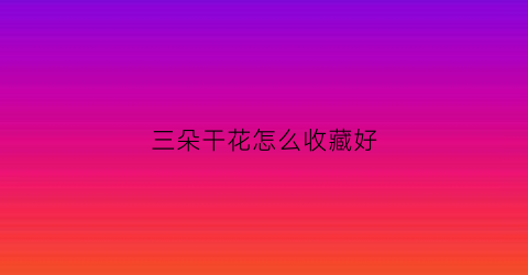 三朵干花怎么收藏好