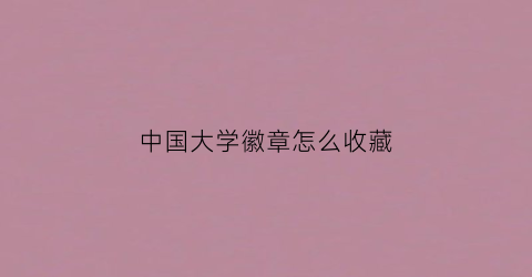 中国大学徽章怎么收藏