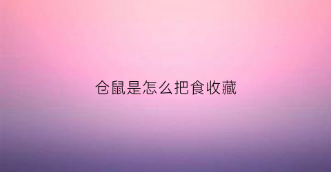 仓鼠是怎么把食收藏